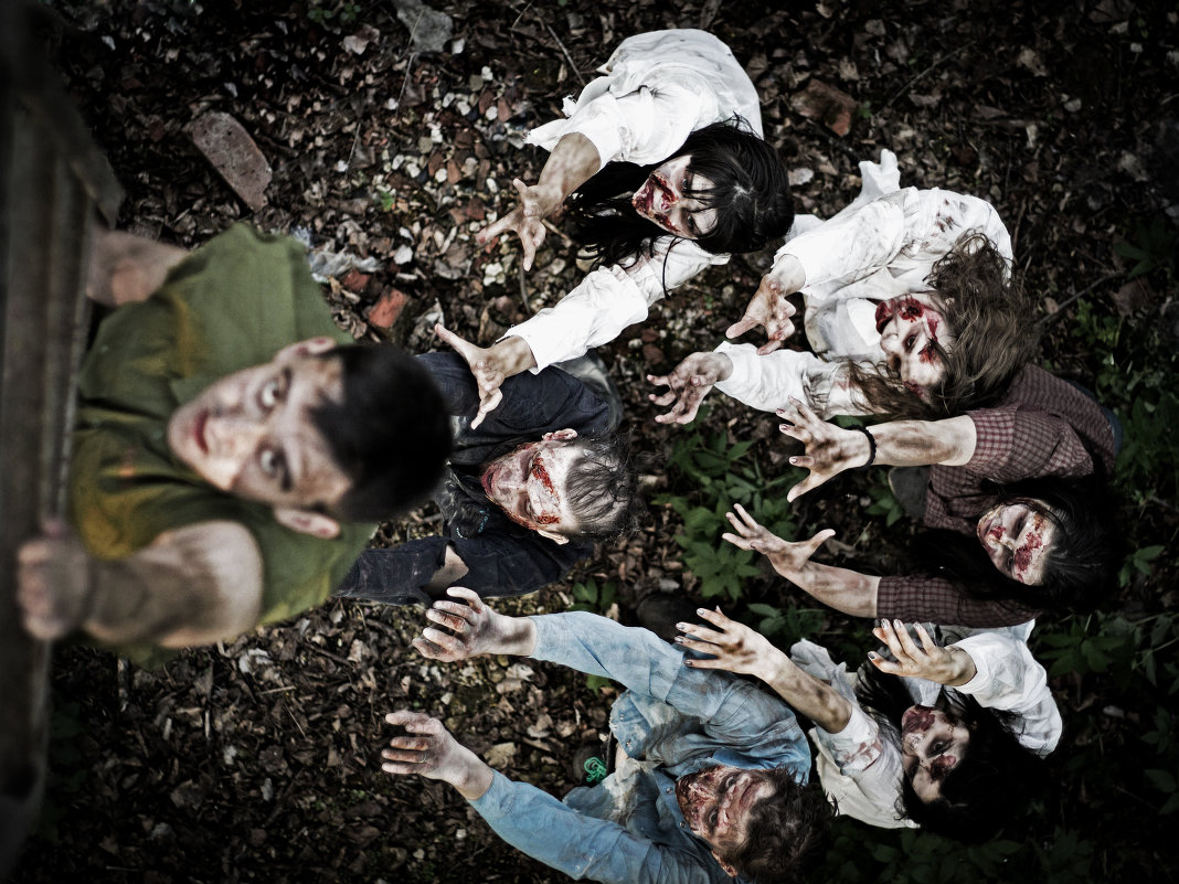 The Walking Dead - Дмитрий Устинов