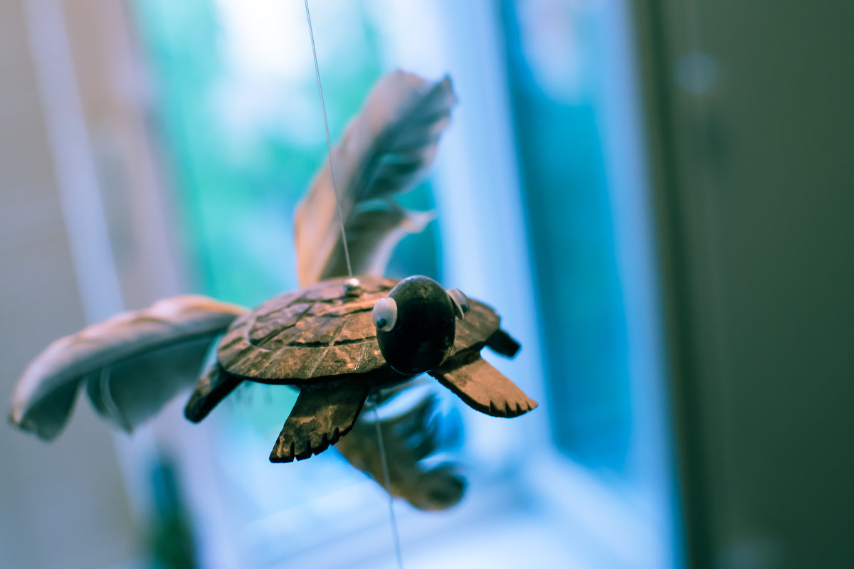 Летающая черепаха - madesst 