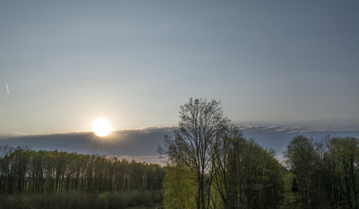 passing day - Алексей -