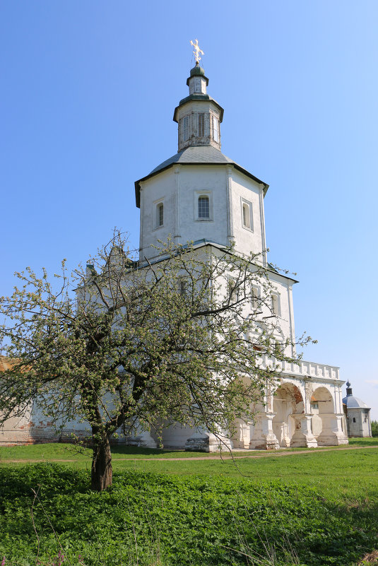 Свенский монастырь. Брянск - Александр Варфлусьев