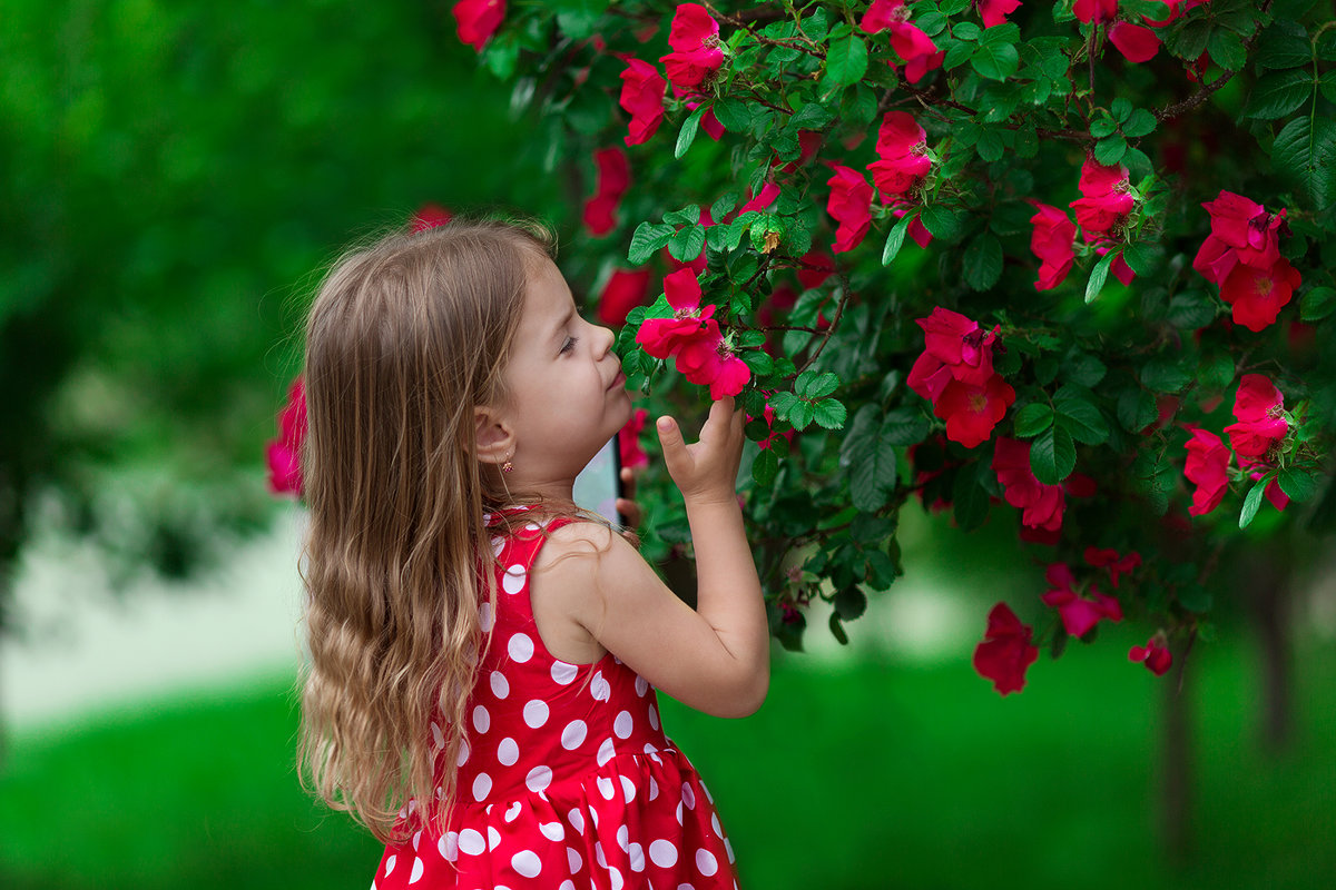 Девочка нюхает розу