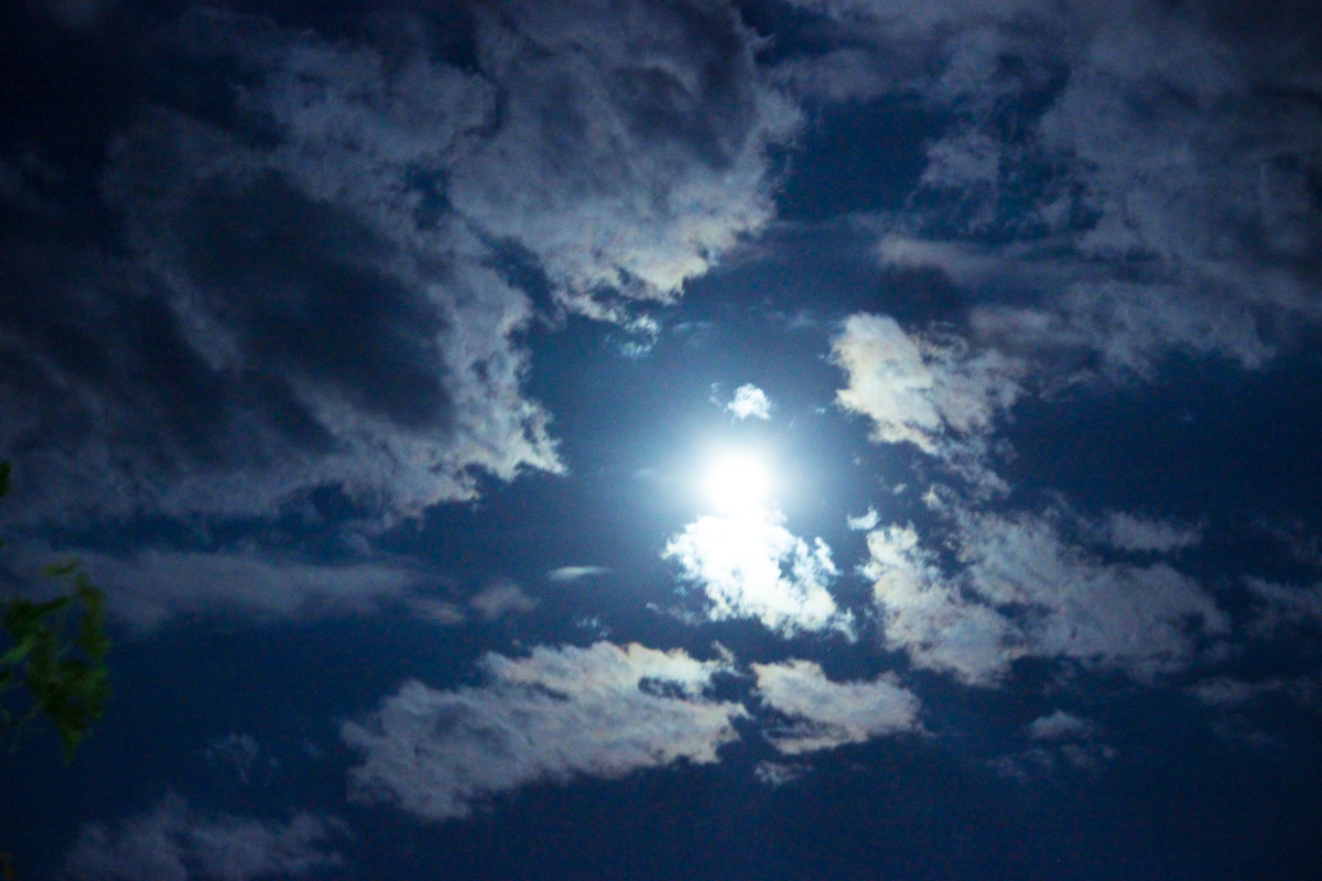 Лунное небо - Анзор Агамирзоев