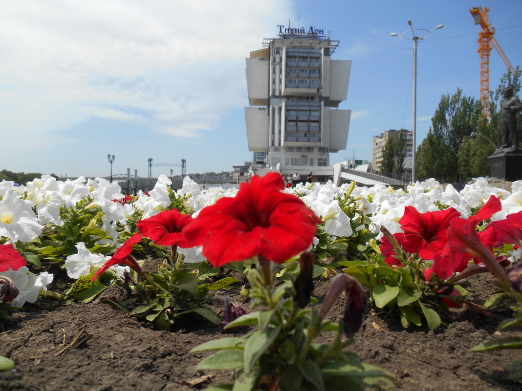 Цветы на фоне отеля - Станислав Любимов