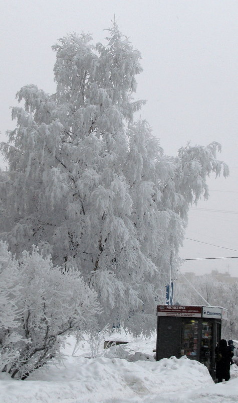 Зима в городе - Александр 