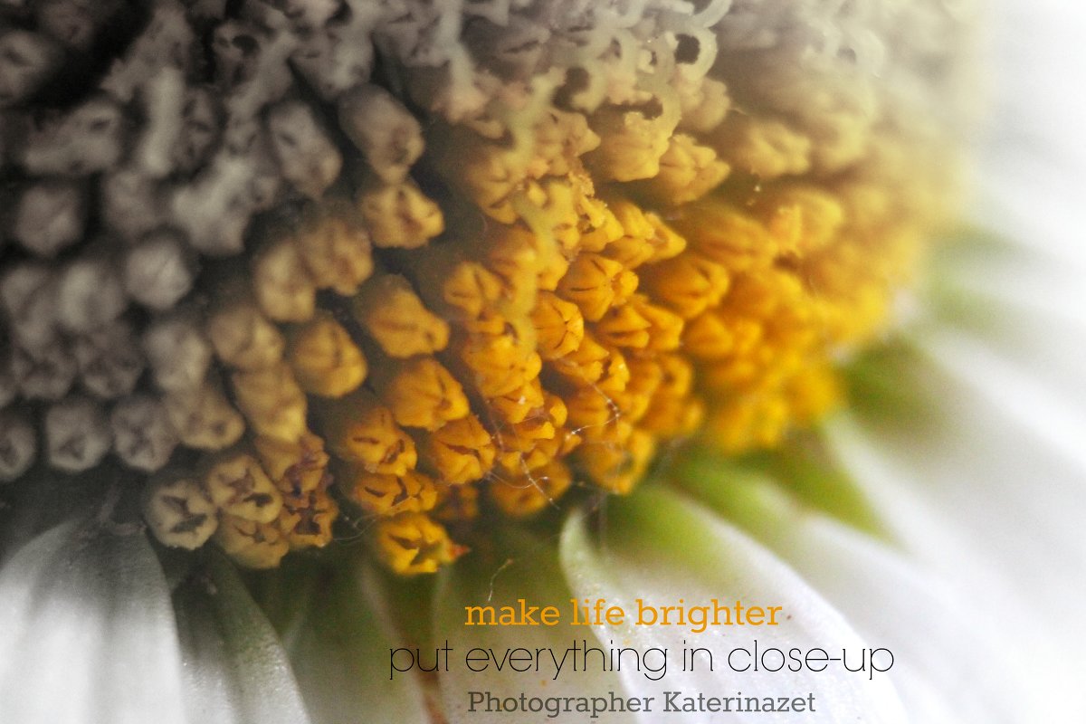 Make life brighter - Kate 