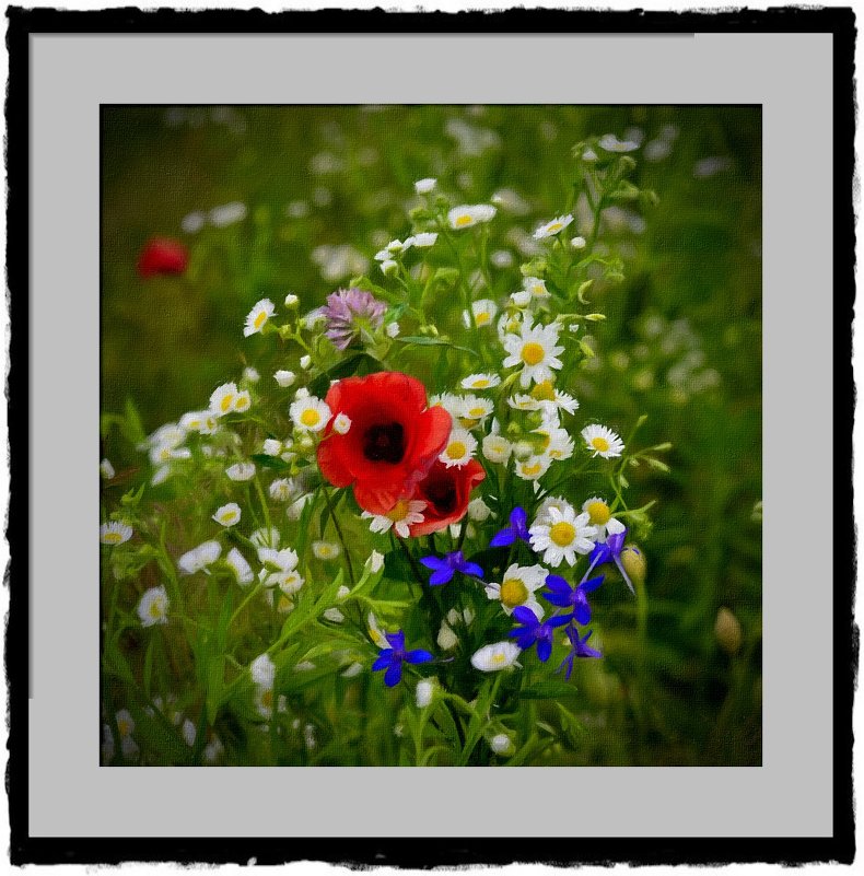 Картина с луговыми цветами в кустарной рамке - Тарас Грушивский
