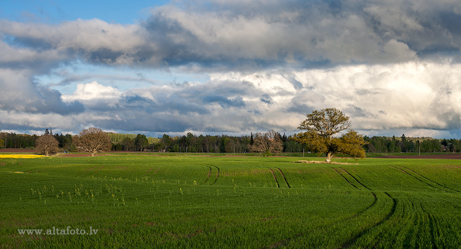 field view - Aleksandrs Tarabanovskis