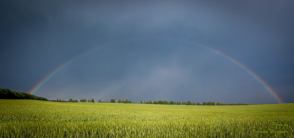 Rainbow - Veronika Mischenko