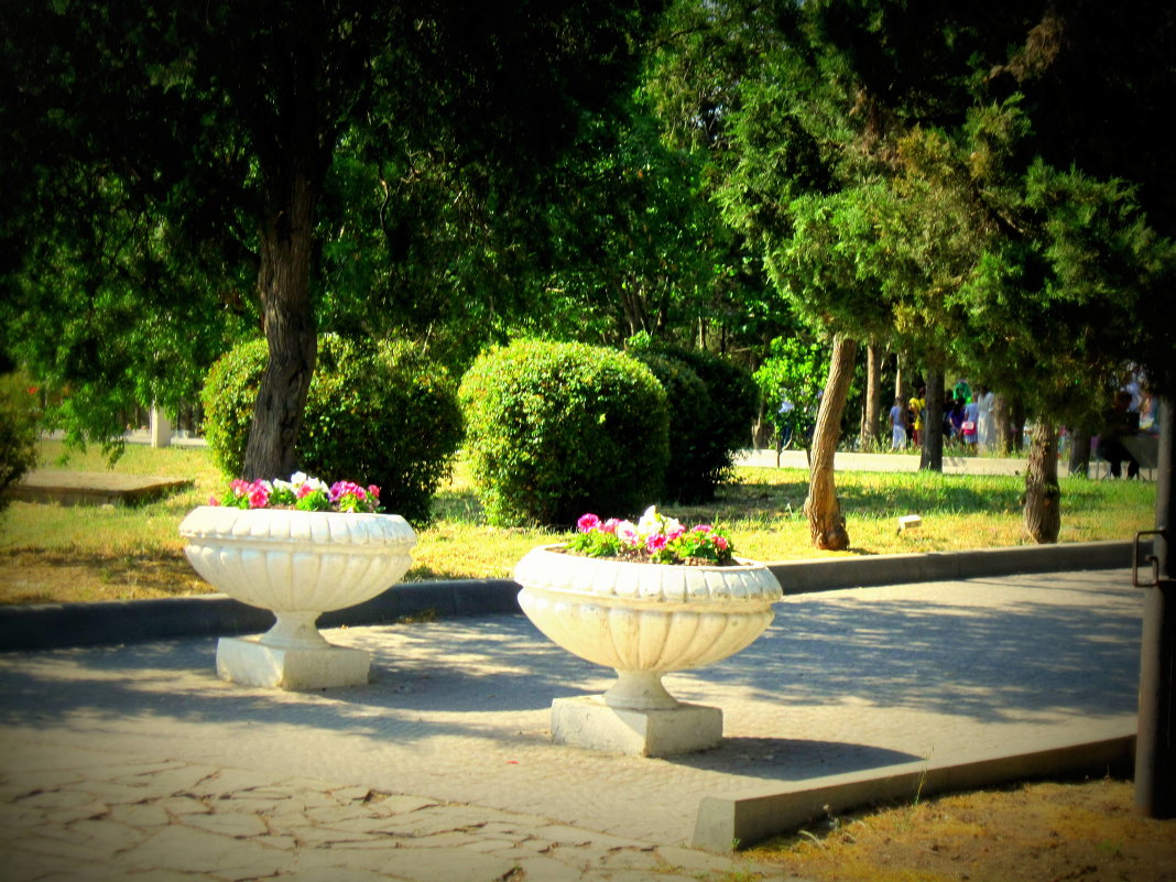 Херсонеский парк - Zinaida Belaniuk