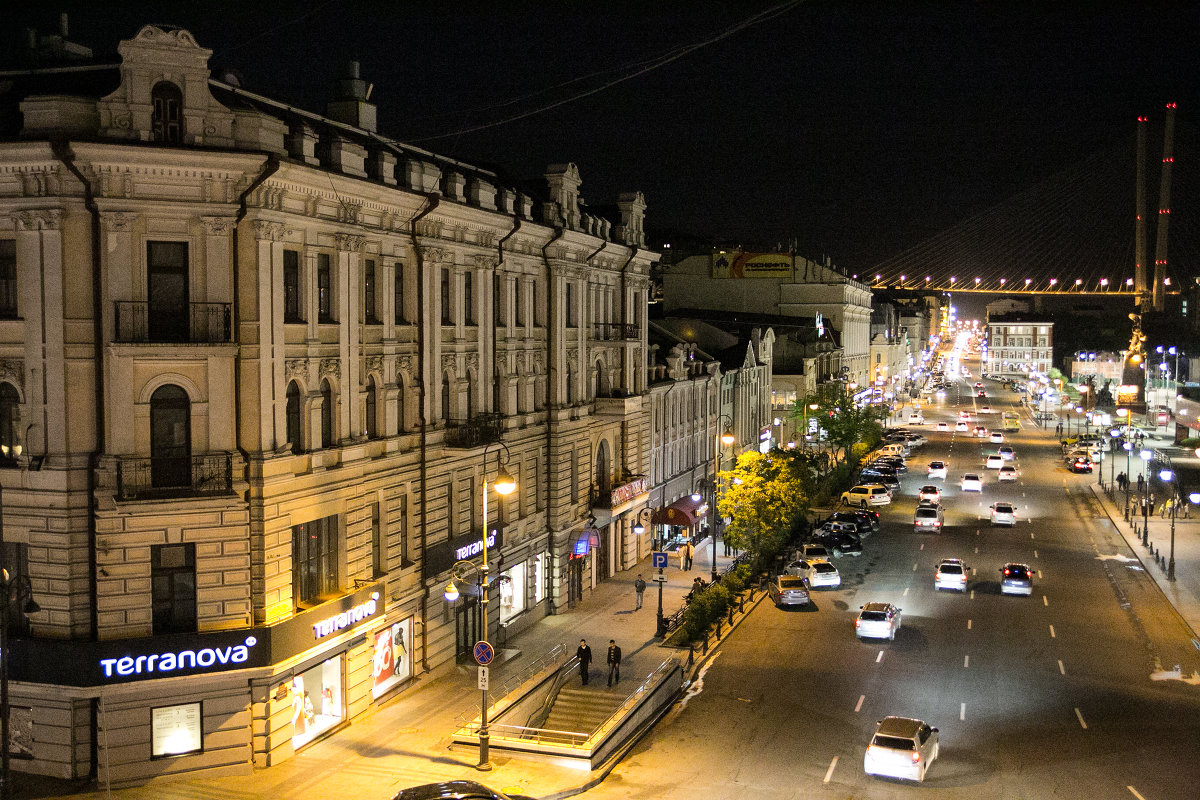 вид с балкона музея имени Арсеньева - Леонид Сидоренко