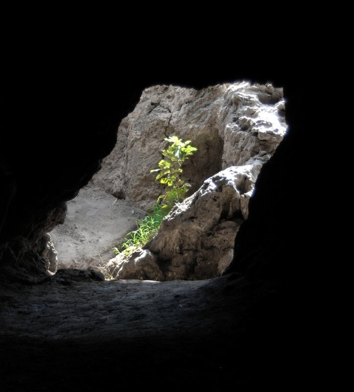 Двери.Факультет пещер - Ахмед Овезмухаммедов