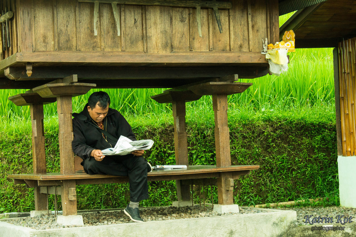 Балиец читает новости - Катрин Кот