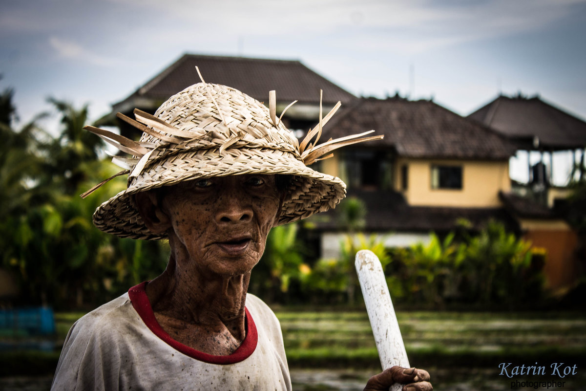 Балиец готовит рисовое поле к посадке - Катрин Кот