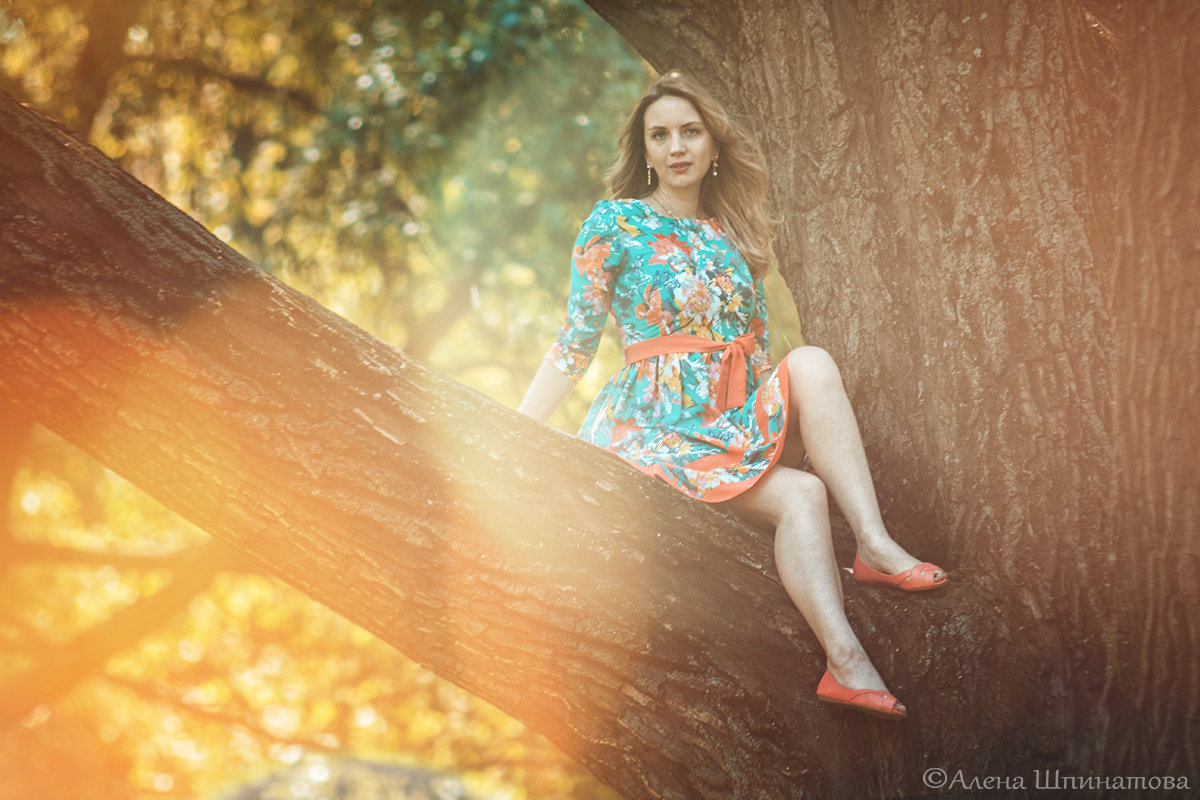 На дереве - Алена Шпинатова