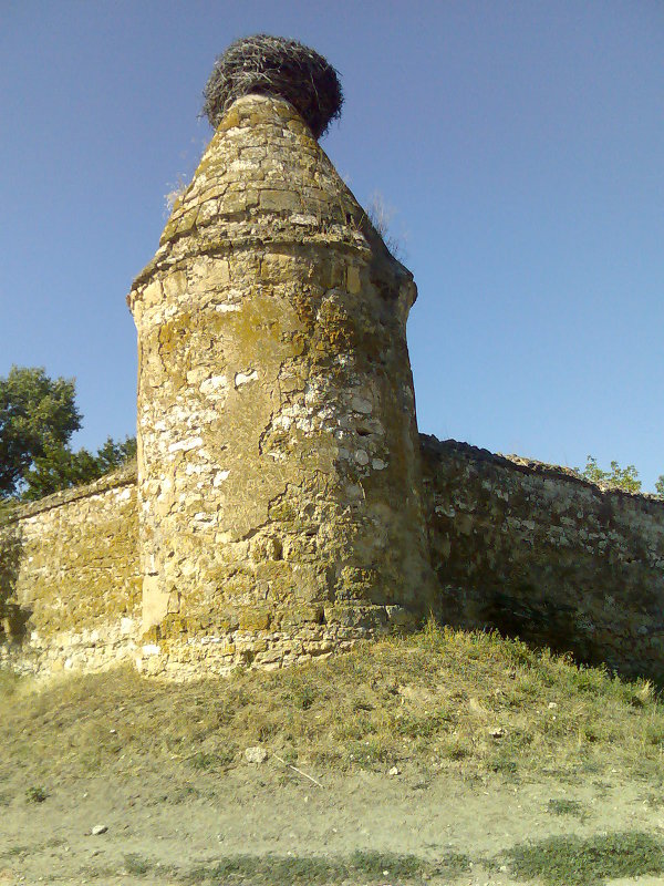 Стены монастыря - Виктория К. 