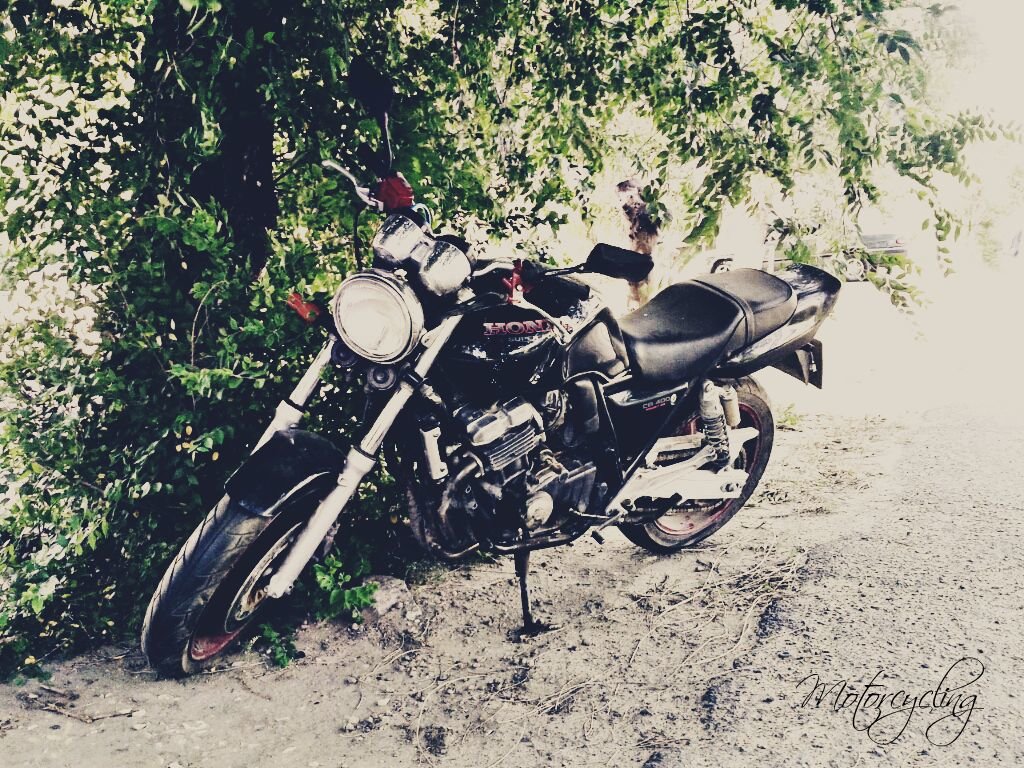 Мотоцикл - Виктория 