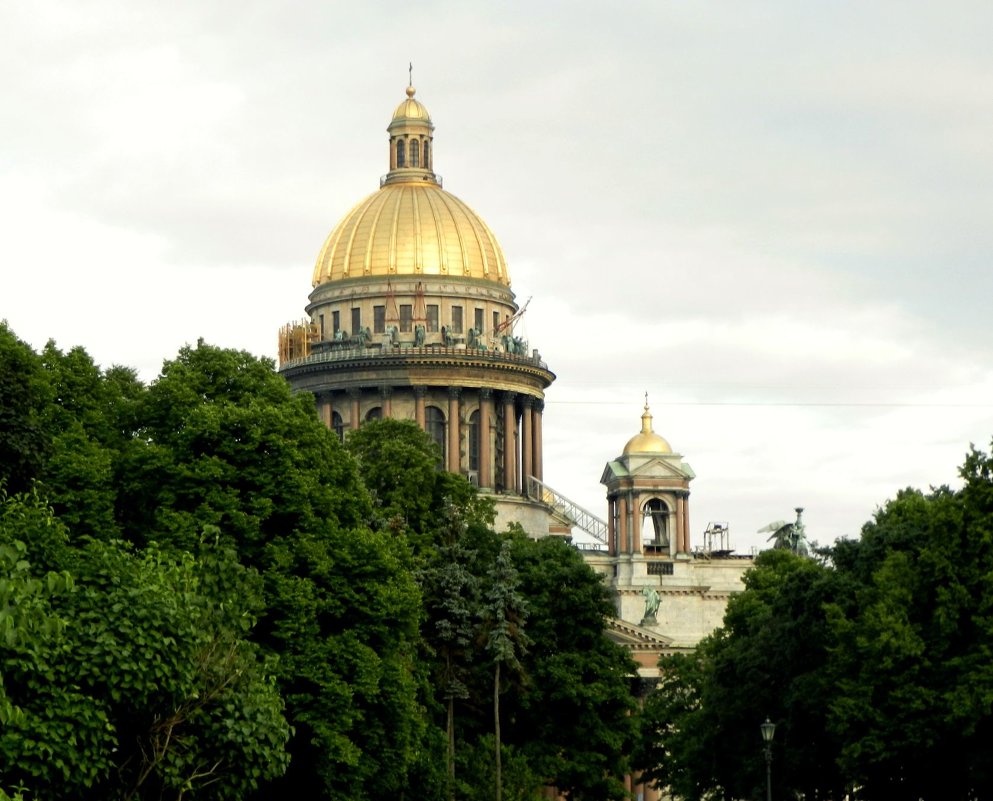 • - Валерия Рогальская