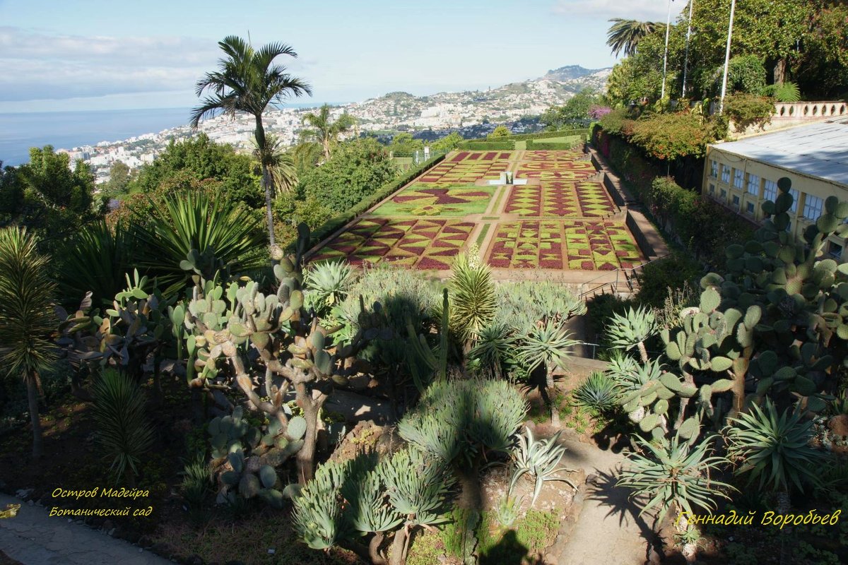 Ботанический сад. Мадейра - Геннадий 