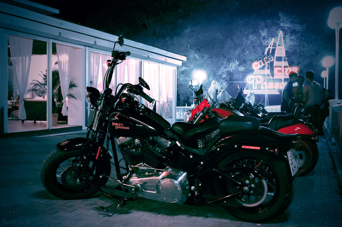 Harley Davidson - Валерия Скиба