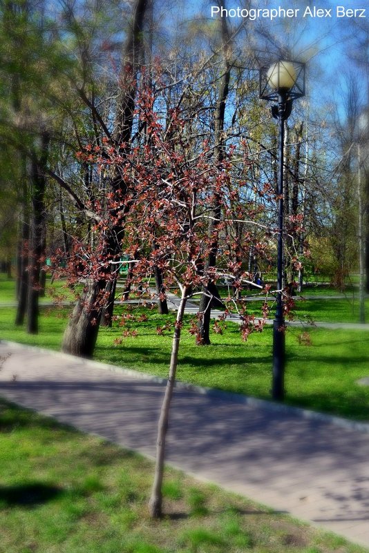 Екатерининский парк г.Москва - Alex Berz