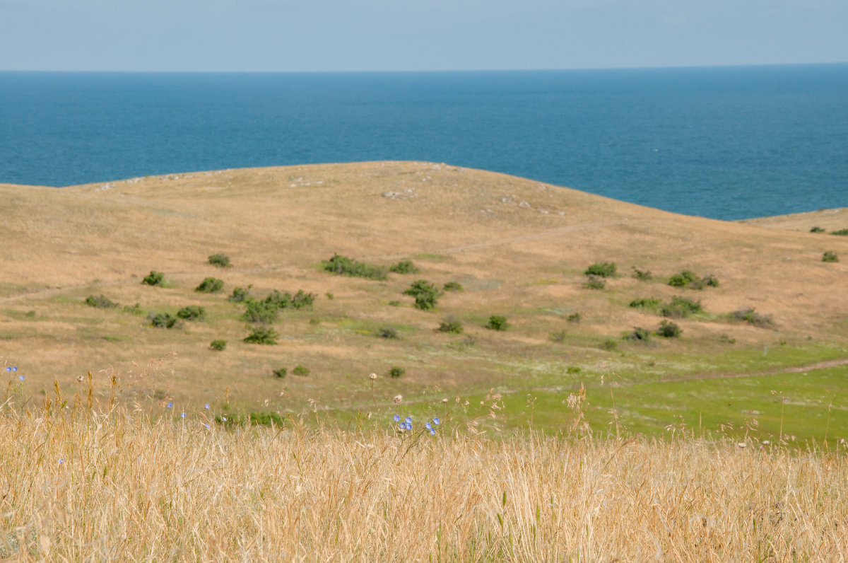 Крым, мыс Казантип - Анастасия Барыльникова