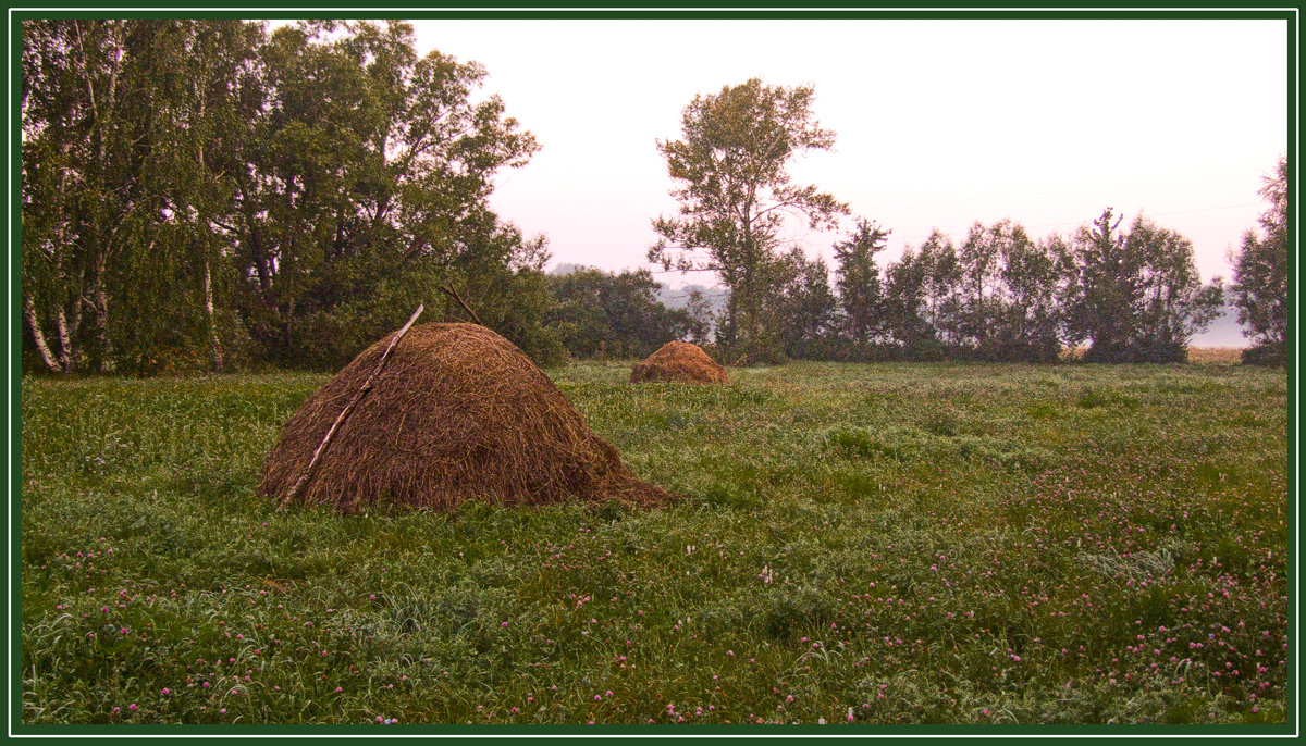 Утренний луг - Валерий Кролик