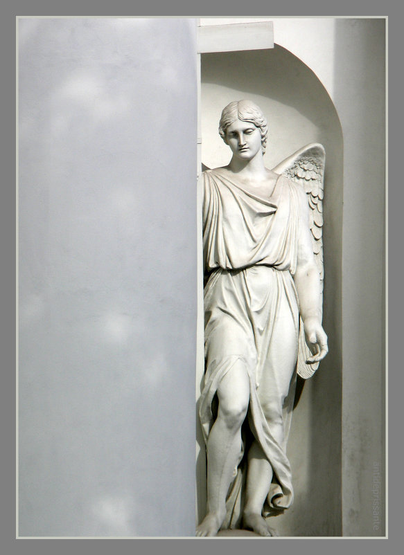 Ангел Троицкого собора - vadim 