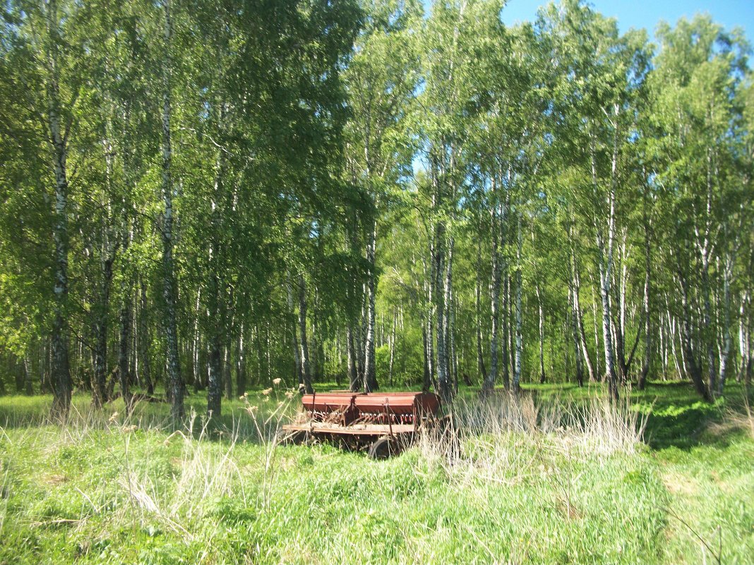 Брошенная техника в лесу - Анна Наумова