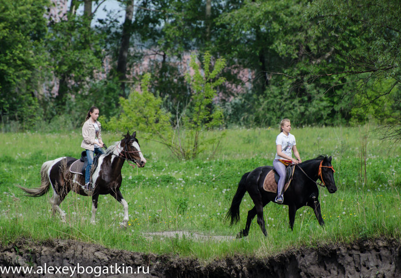Прогулка на лошадях - Alexey Bogatkin