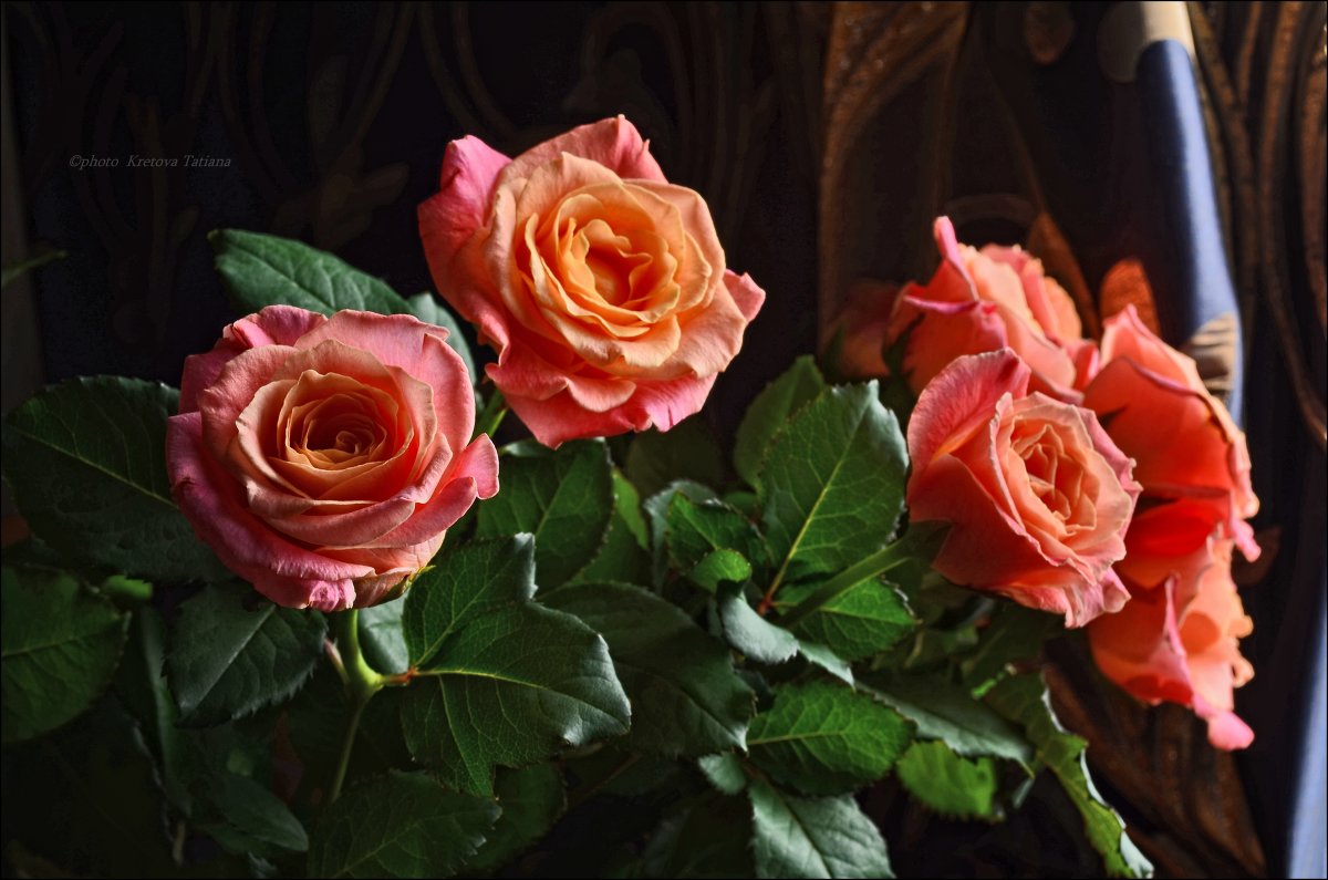 Нежность ароматных роз... - Tatiana Kretova