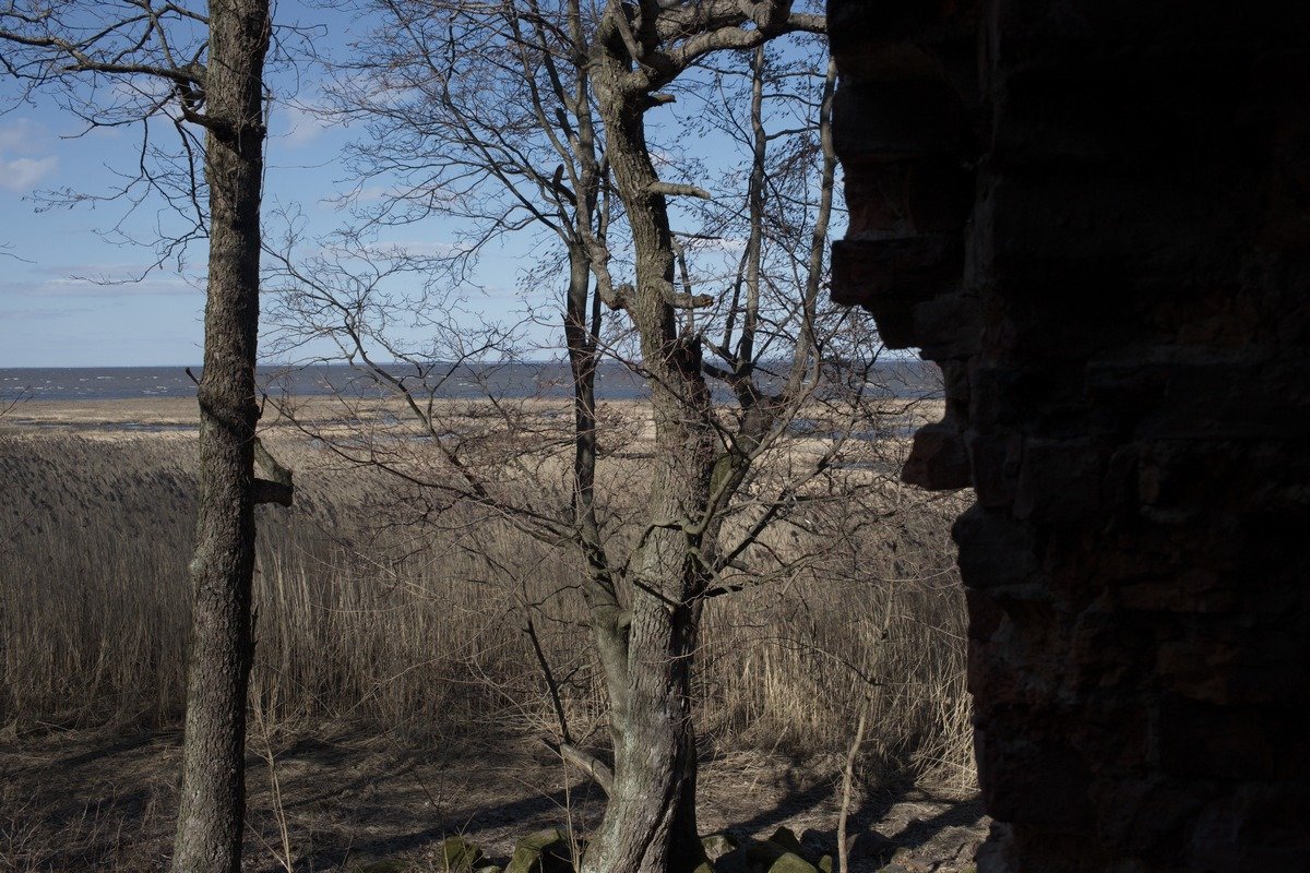 Вид из развалин усадьбы - Egor Moskalev