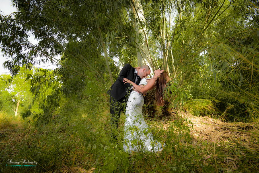 Trash the Dress - Dmitry Pechinsky