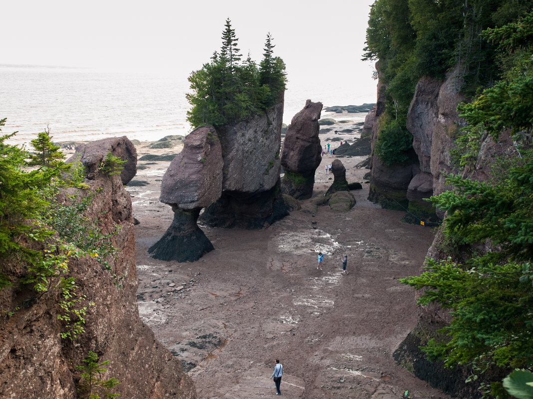 Canada, Hopewell rocks - Vadim Raskin