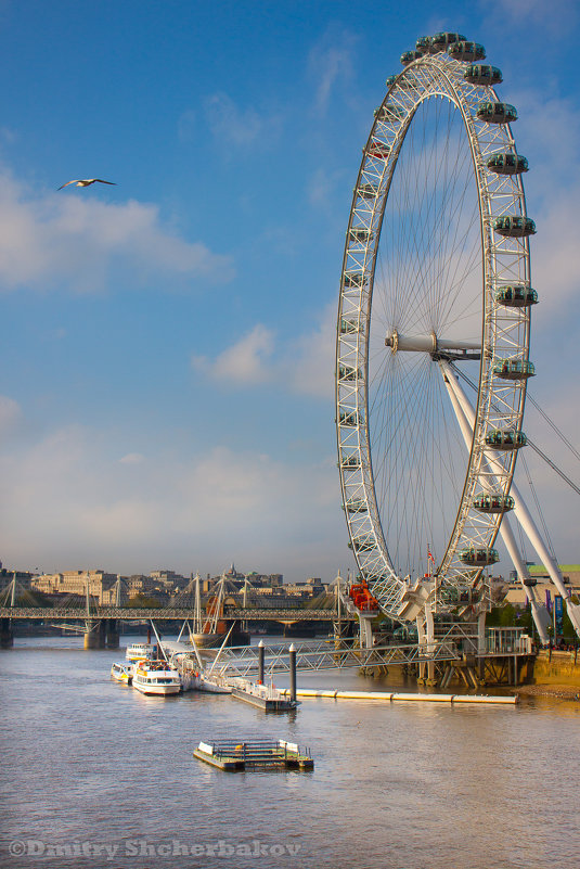 London Eye - Дмитрий Щербаков