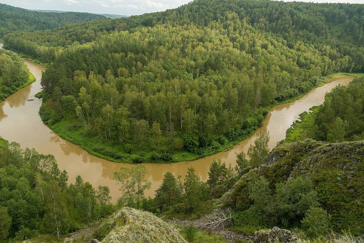 вид со скалы Зверобой на реку Бердь, Новосибирская область, Маслянинский район - Дмитрий Кучеров