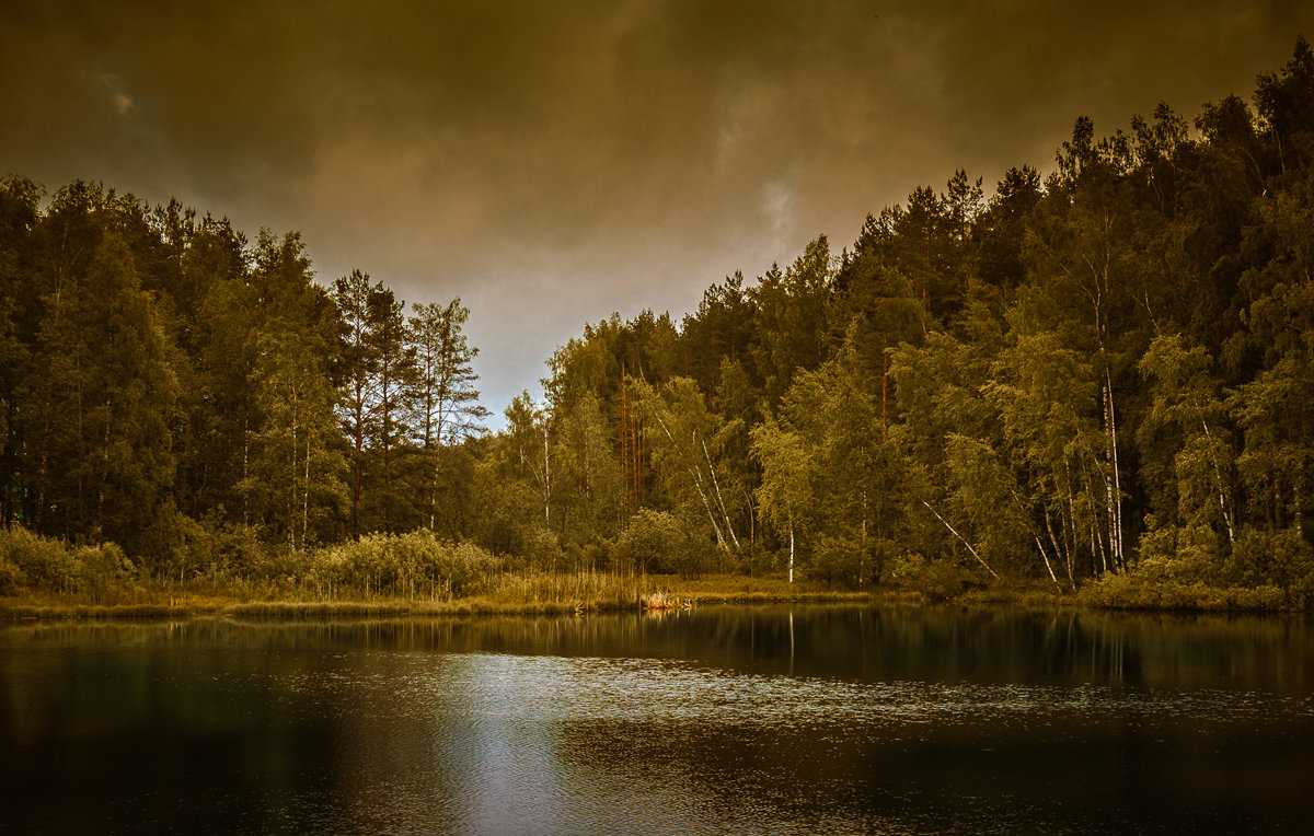 Лесное озеро - Андрей Гусев