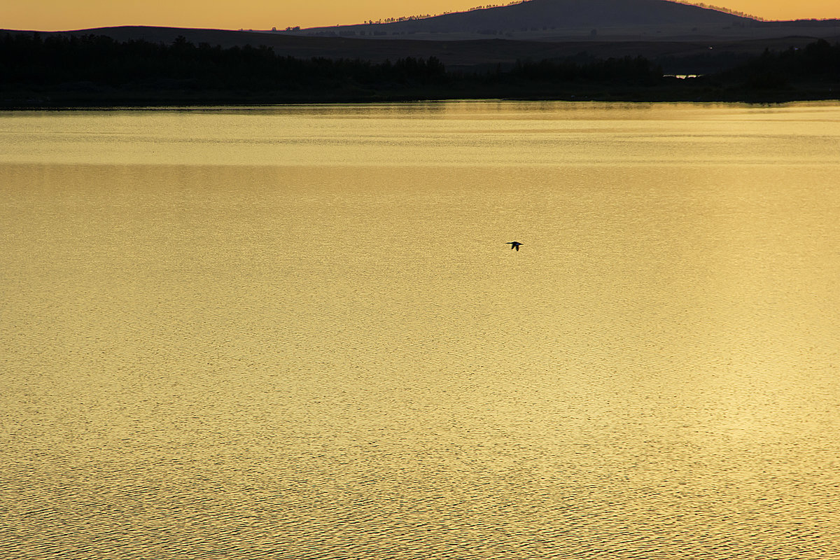 золотое озеро - Arman 