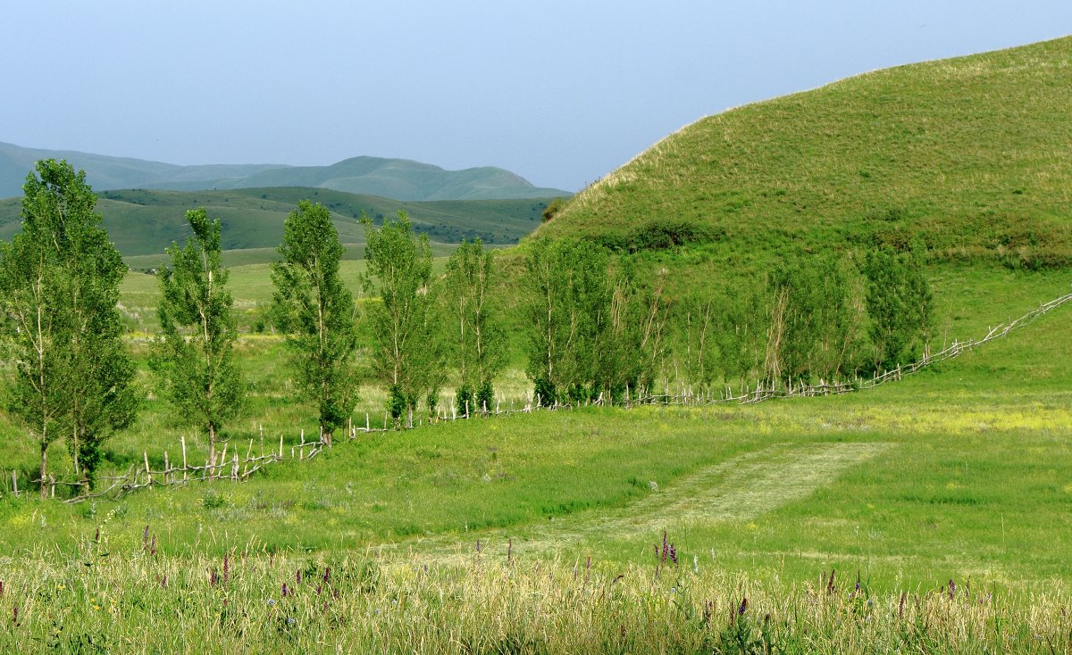 *** - Даулет Джаманов