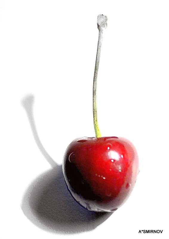 Lonely cherry. - A. SMIRNOV