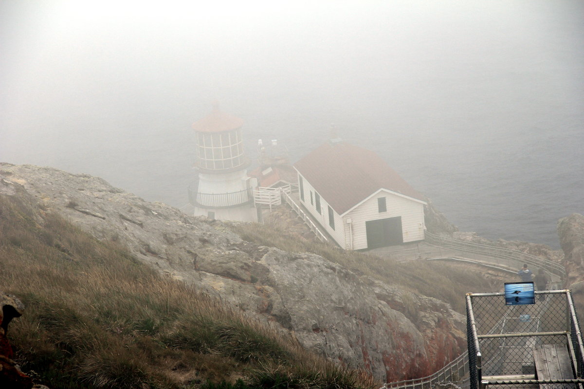 Point Reyes - Размик Марабян