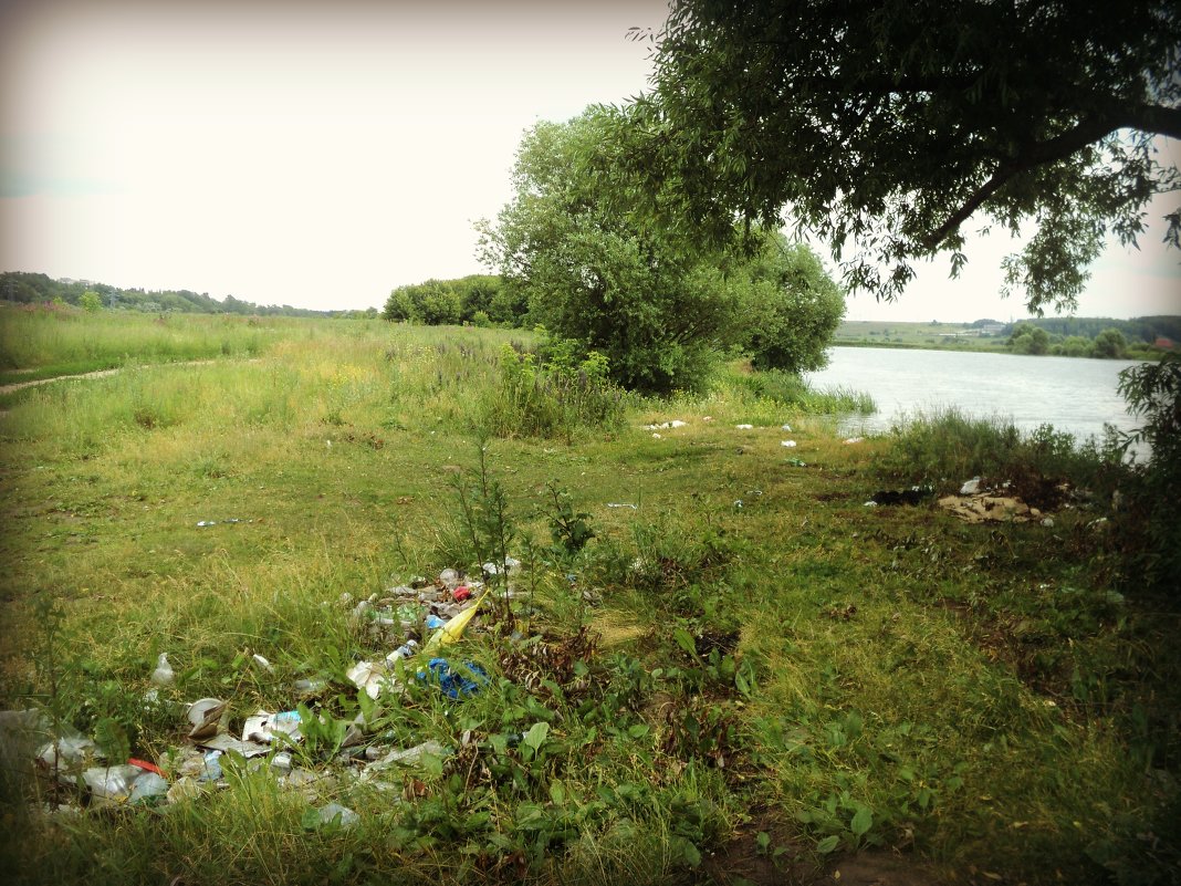 То, что оставляют после себя отдыхающие люди у Реки Москва в городе Лыткарино 26 июня 2014 год - Ольга Кривых