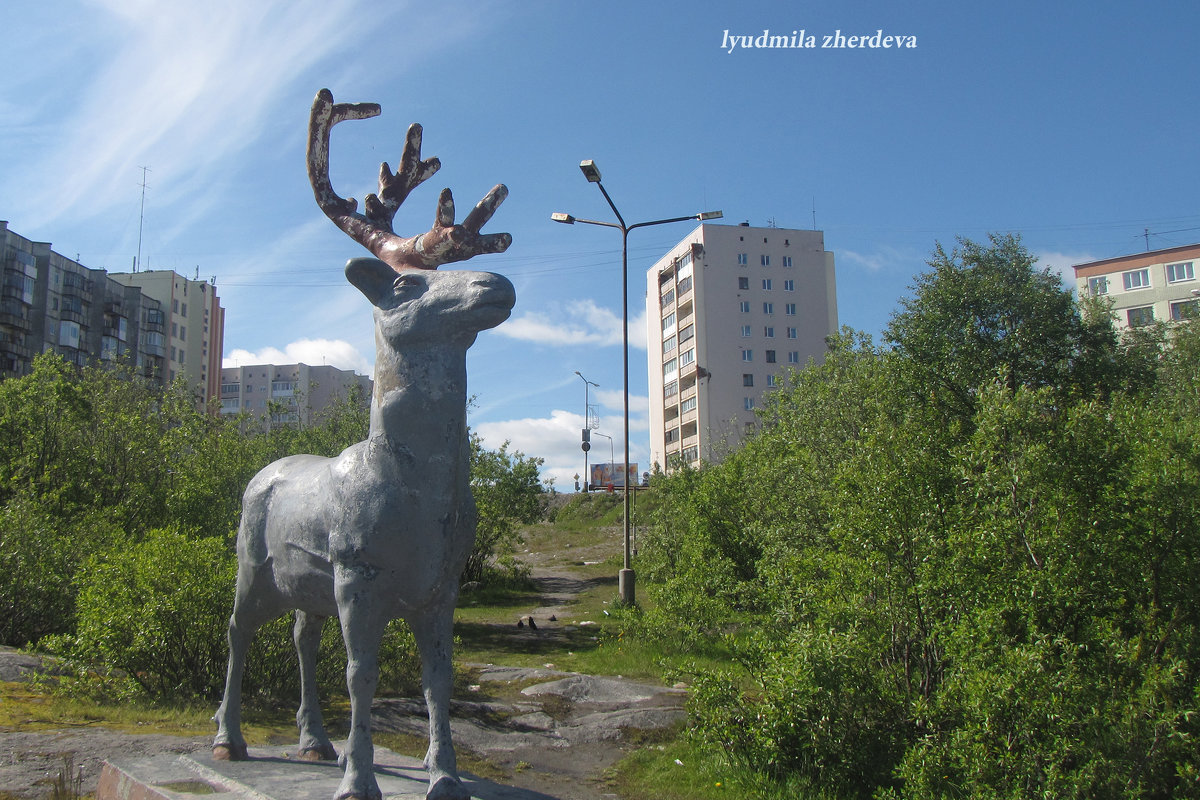 Северный олень - Людмила Жердева