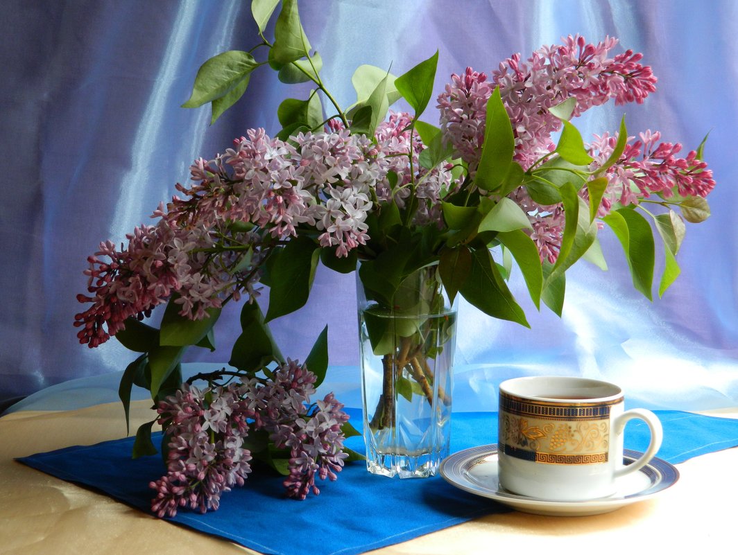Чай с ароматом сирени - Суханова Ольга 