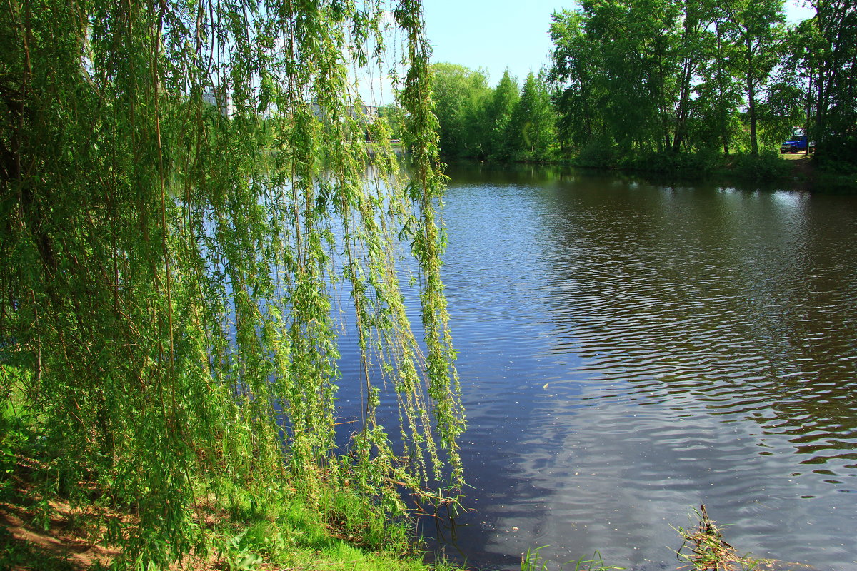 На озере - Владимир Андреевич Ульянов