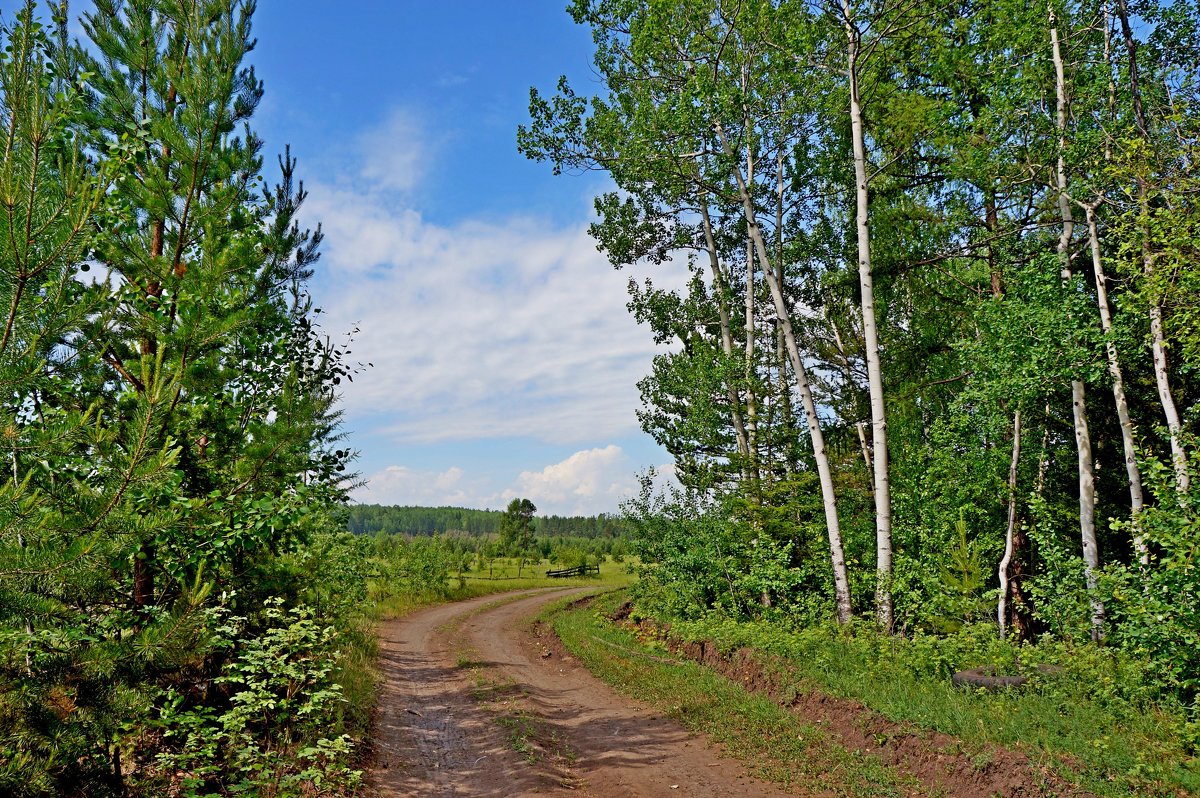 Поворот - Галина Подлопушная