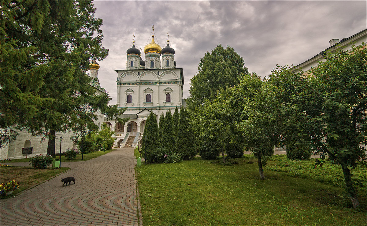 *** - Сергей Котусов