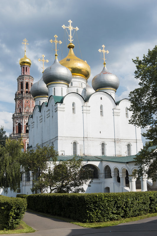 Смоленская церковь в Новодевичьем - Николай 