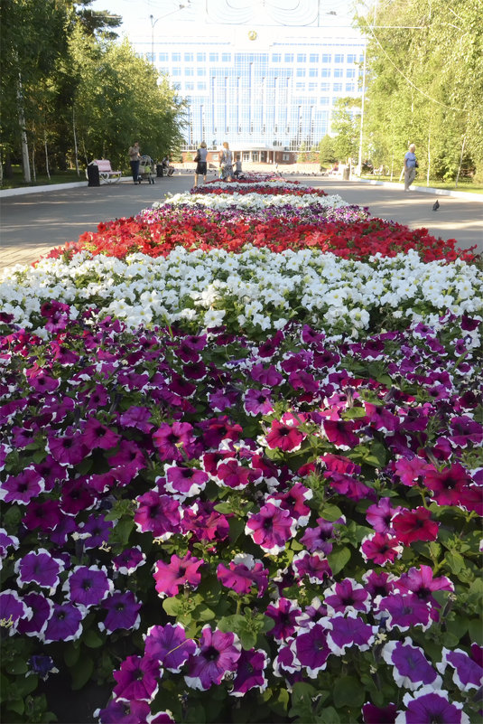 Лето в городе - Лада Солонская