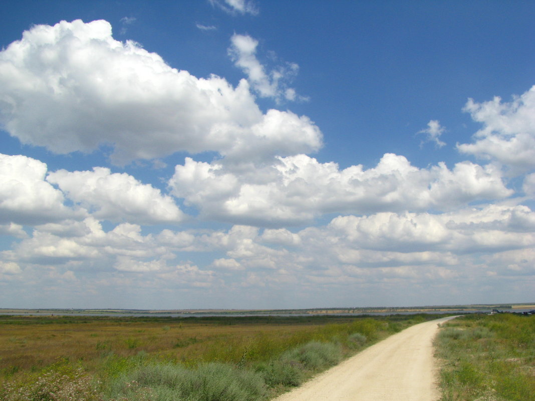 По дороге с облаками - Алина 