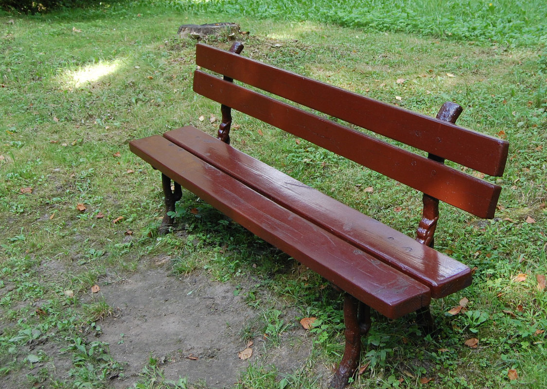 Симпатичная и полезная скамейка в парке рядом с домом П.Чайковского - Александр Буянов